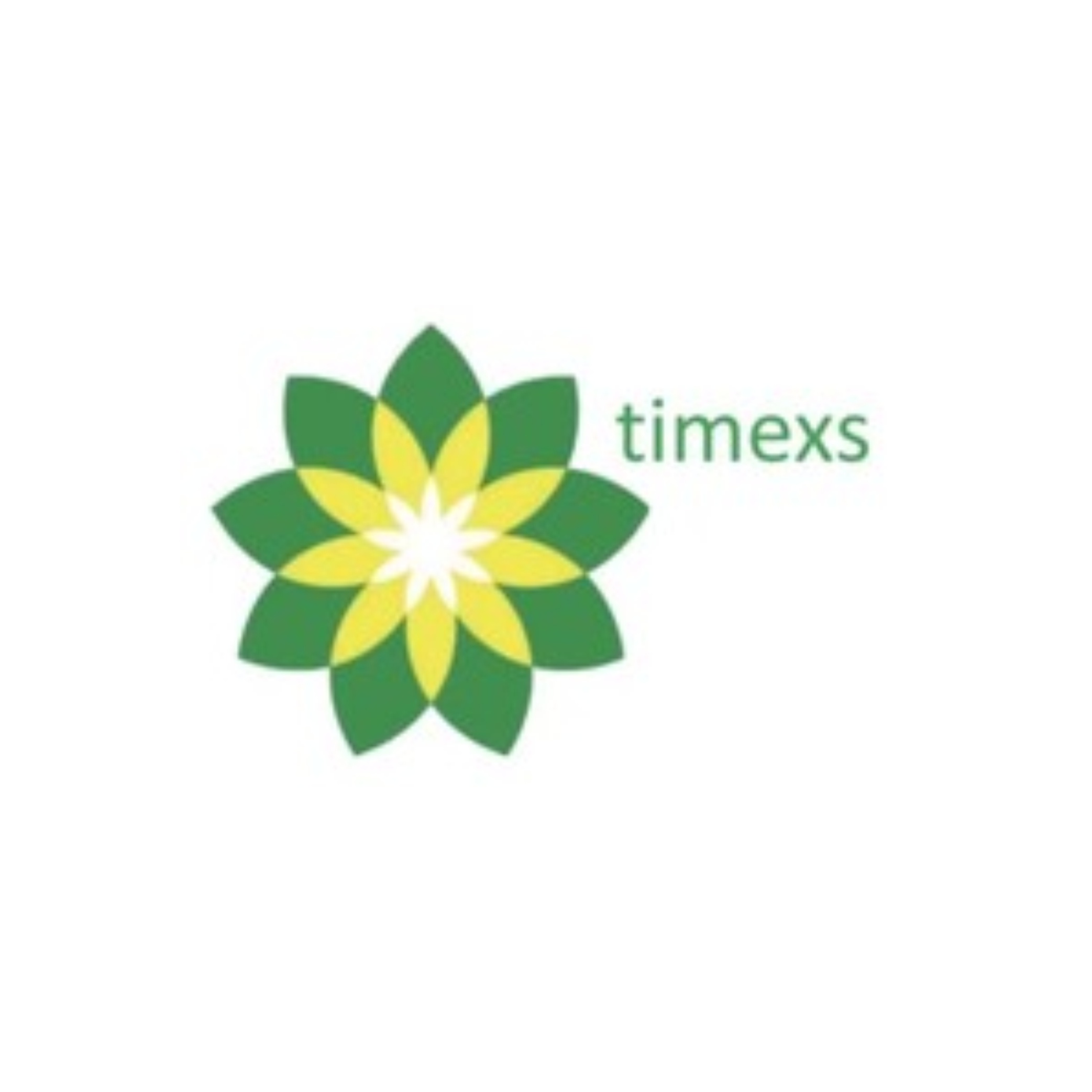 PT. Timexs Indonesia