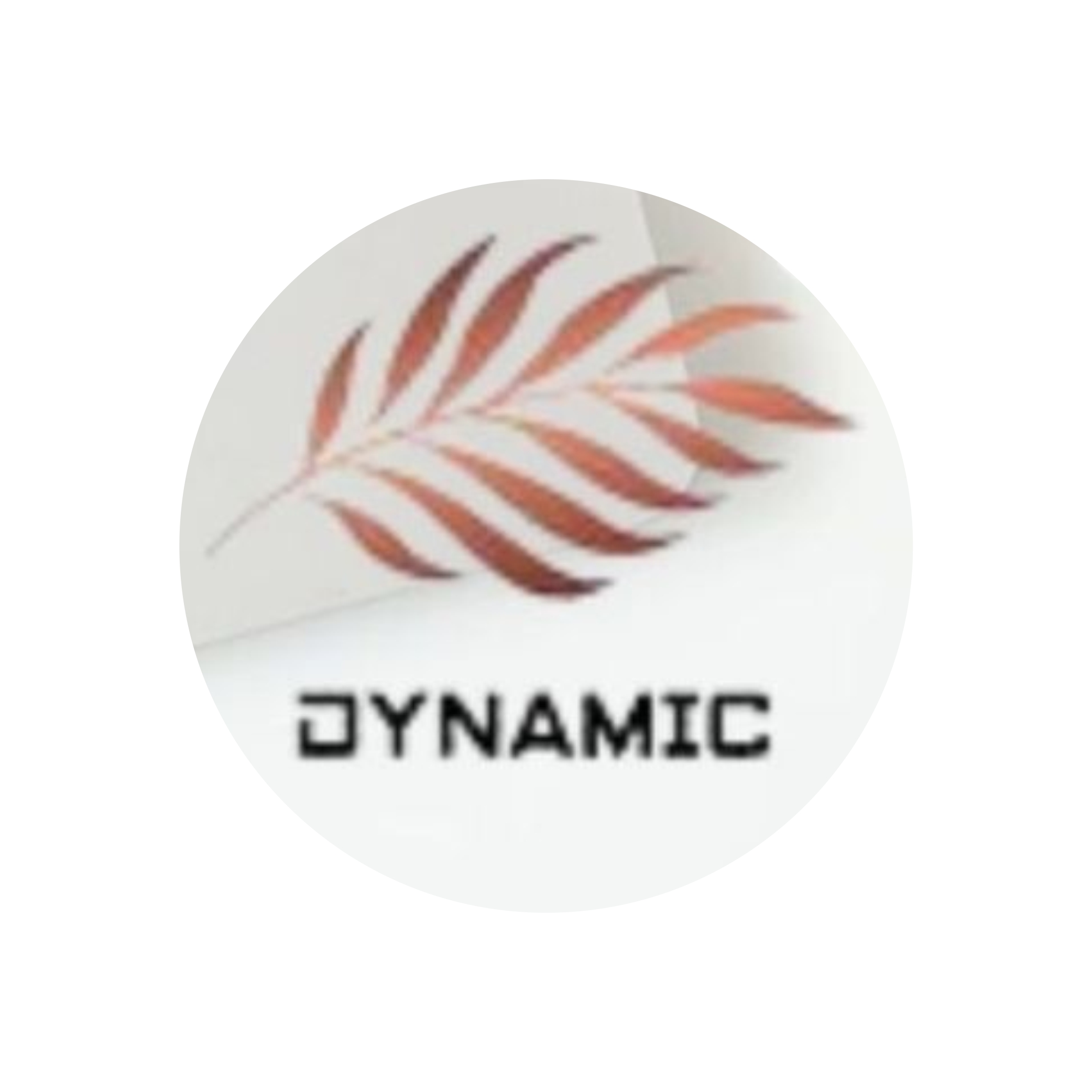 PT. Mentari Dynamic Indonesia